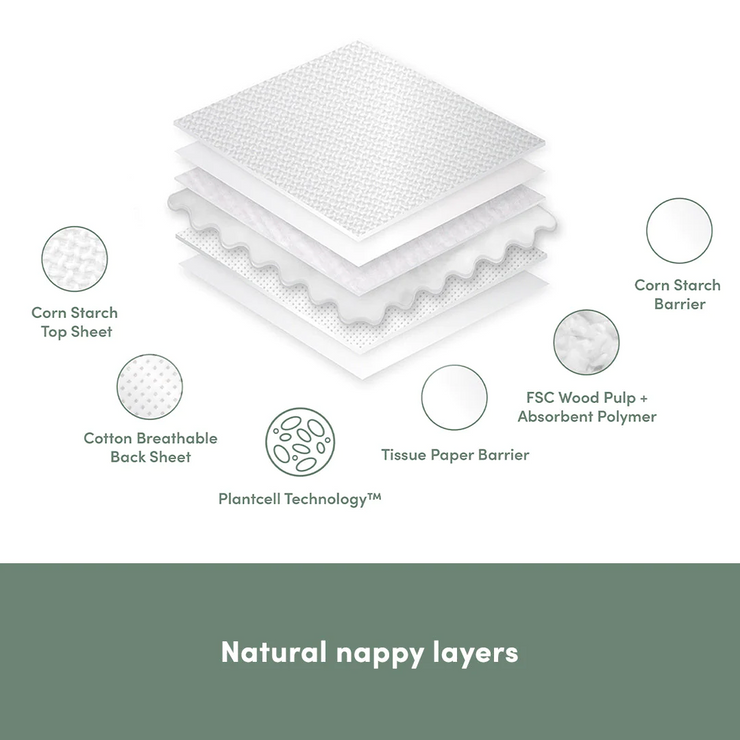 Value Bundle: 12 Packs of Nappies