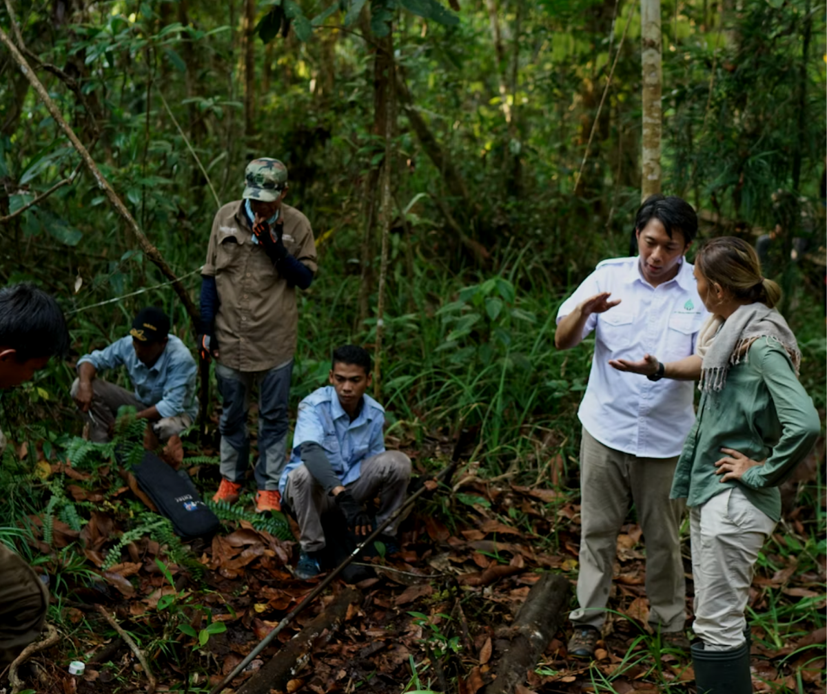 Ecologi x Ecoriginals: Protecting Indonesian Peatland Ecosystems