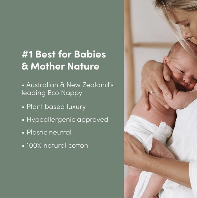 Legacy 3 Packs of Nappies
