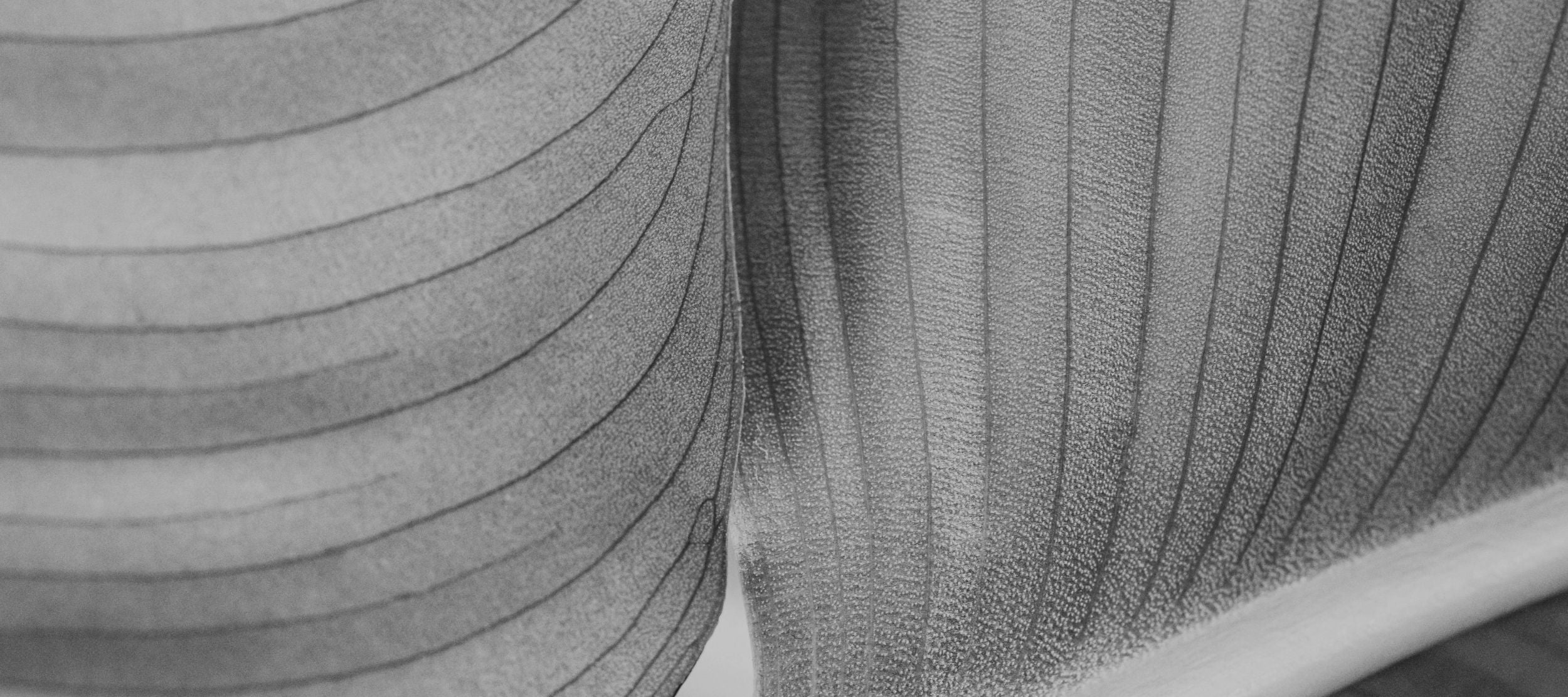image-banner